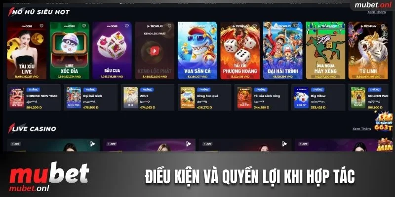 5 điều kiện và 6 quyền lợi khi hợp tác với đơn vị