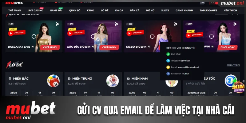 Gửi CV qua email để làm việc tại thương hiệu